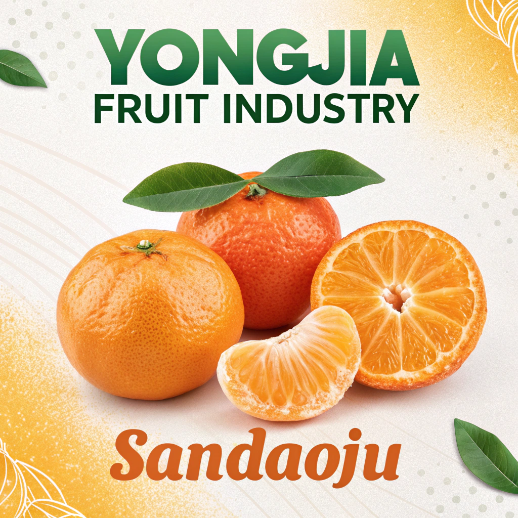 AI generated image by Red Panda AI: 永佳果业 砂糖橘 封面 醒目 ins风