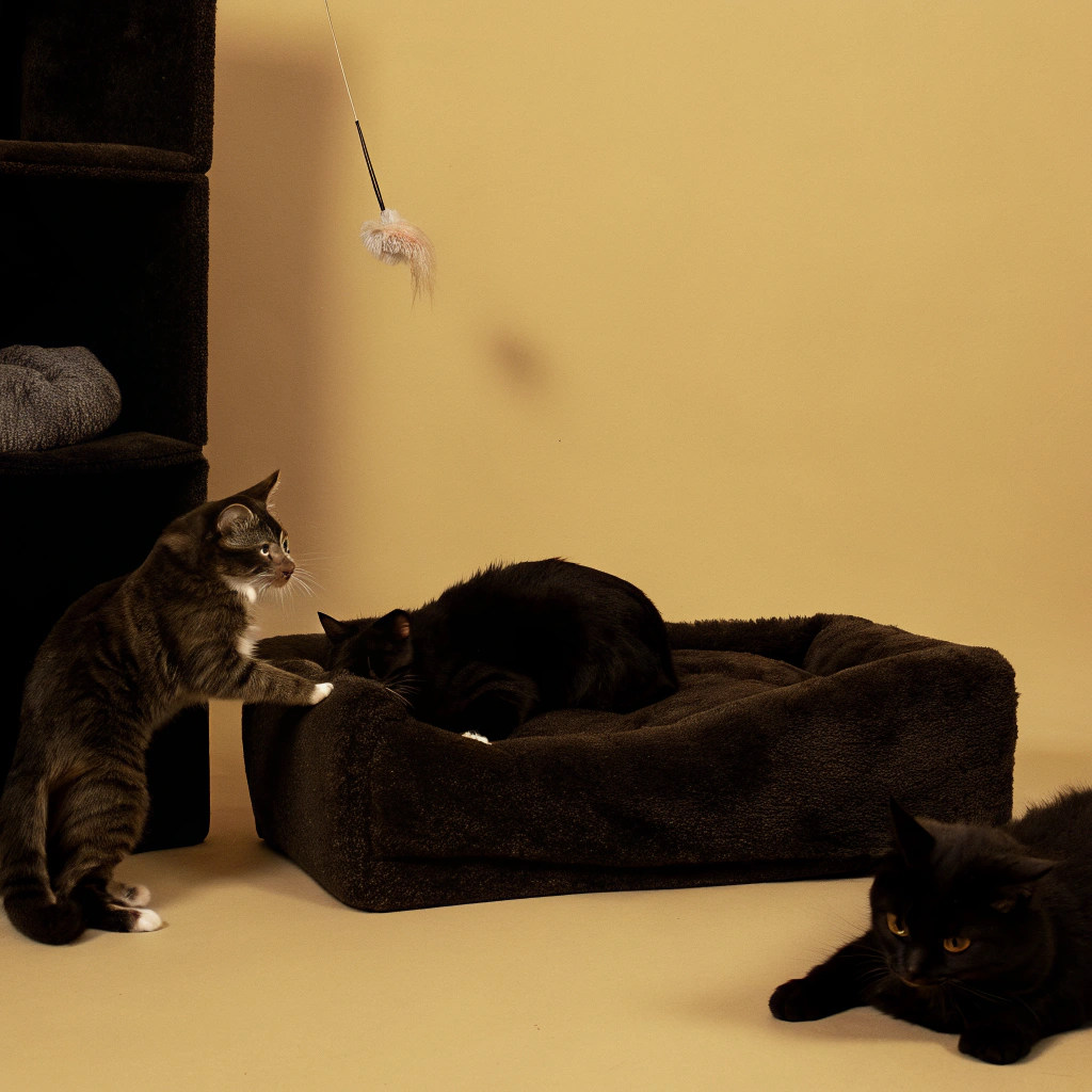 AI generated image by Red Panda AI: Gatos