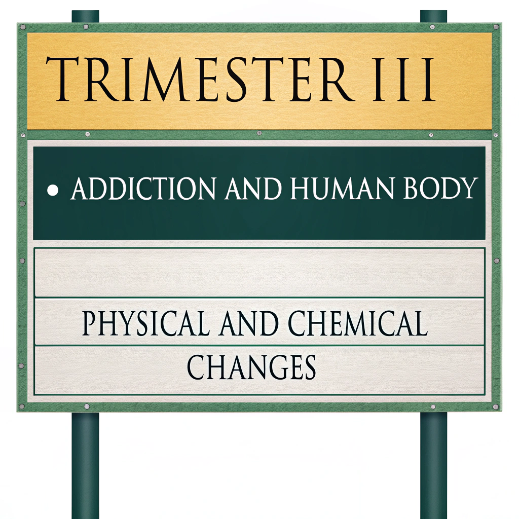 AI generated image by Red Panda AI: Hazme una partida que diga trimestre 3 en numero romano con los temas "Adiccion y cuerpo humano" y "Cambios fisicos y quimicos"