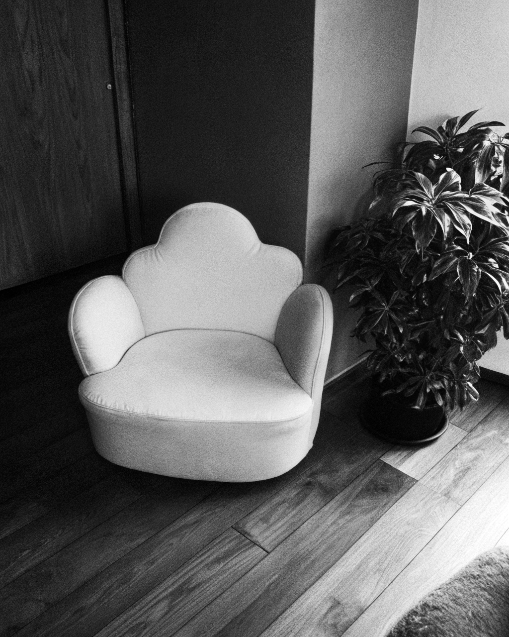 AI generated image by Red Panda AI: The living room features warm wooden flooring that gives the space a cozy, inviting feel. In the center, there is a fluffy white cloud-shaped armchair, its soft, curved edges adding a playful touch to the room. Right next to the sofa, a lush green plant in a simple pot brings a burst of freshness and vibrancy to the space, its leaves contrasting beautifully with the neutral tones of the room. The overall atmosphere is calm and soothing, perfect for relaxation or quiet conversation.
