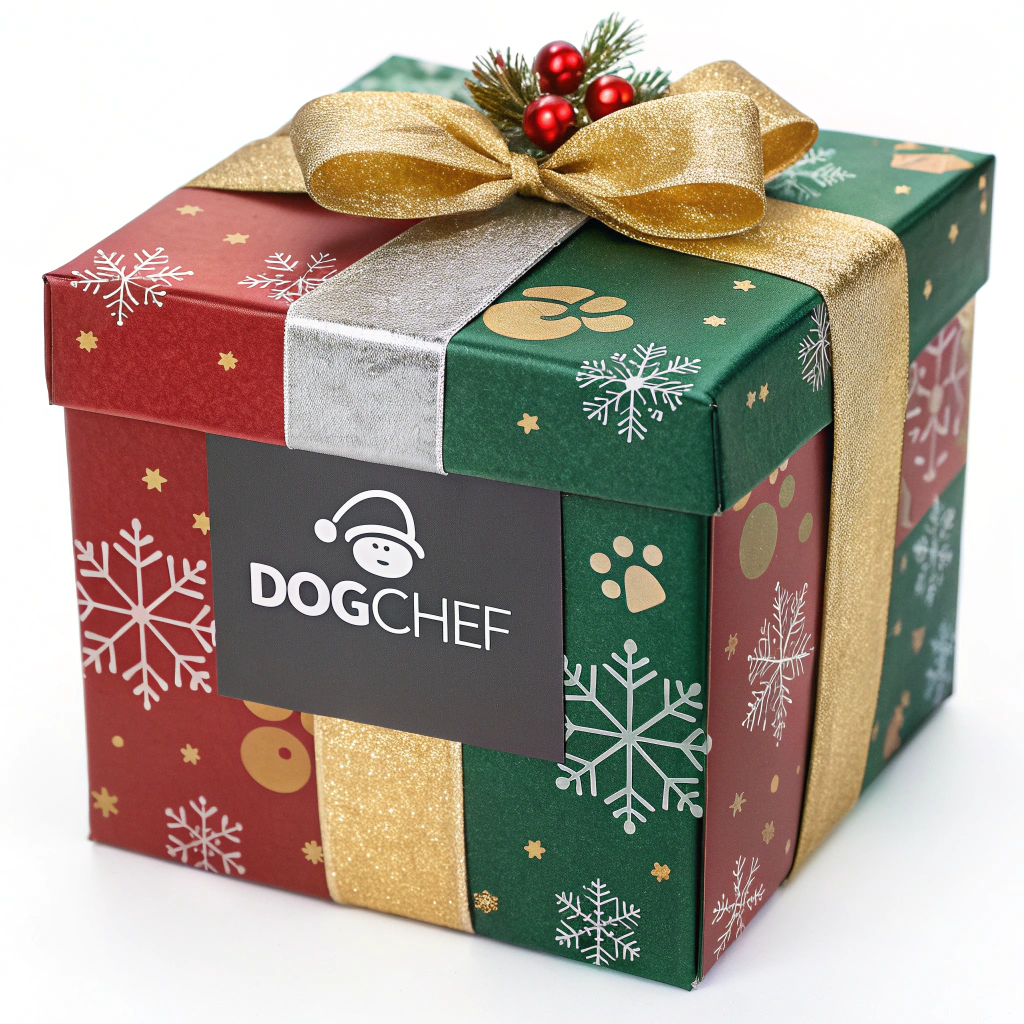 AI generated image by Red Panda AI: je veux une box de noel en forme de cadeau de noel avec les couleur rouge vert or et argenté et avec le logo de la marque dogchef