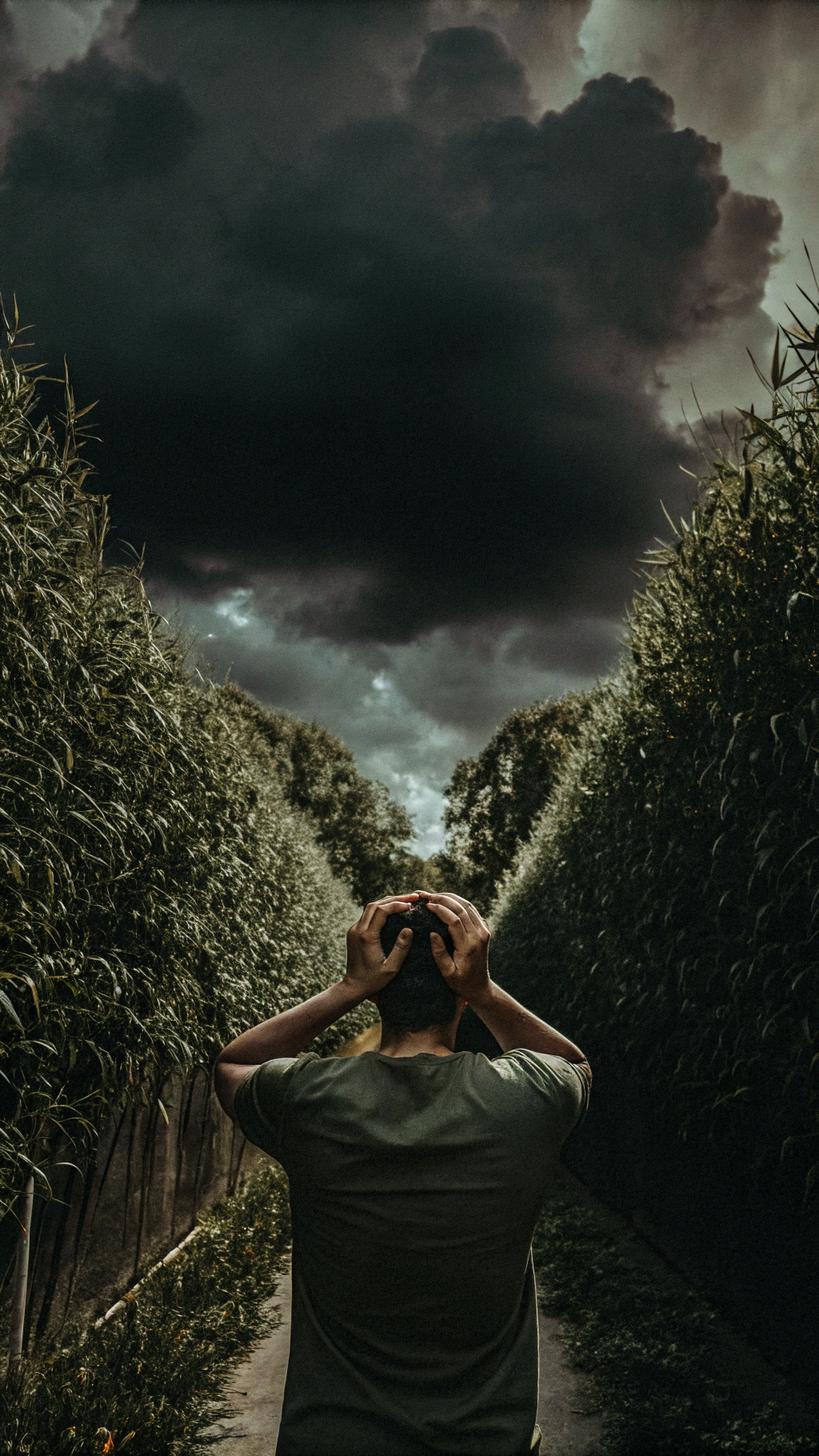 AI generated image by Red Panda AI: a person breaking down emotionally, holding their head in their hands, storm clouds above, symbolic of mental chaos and despair, high contrast moody tones
