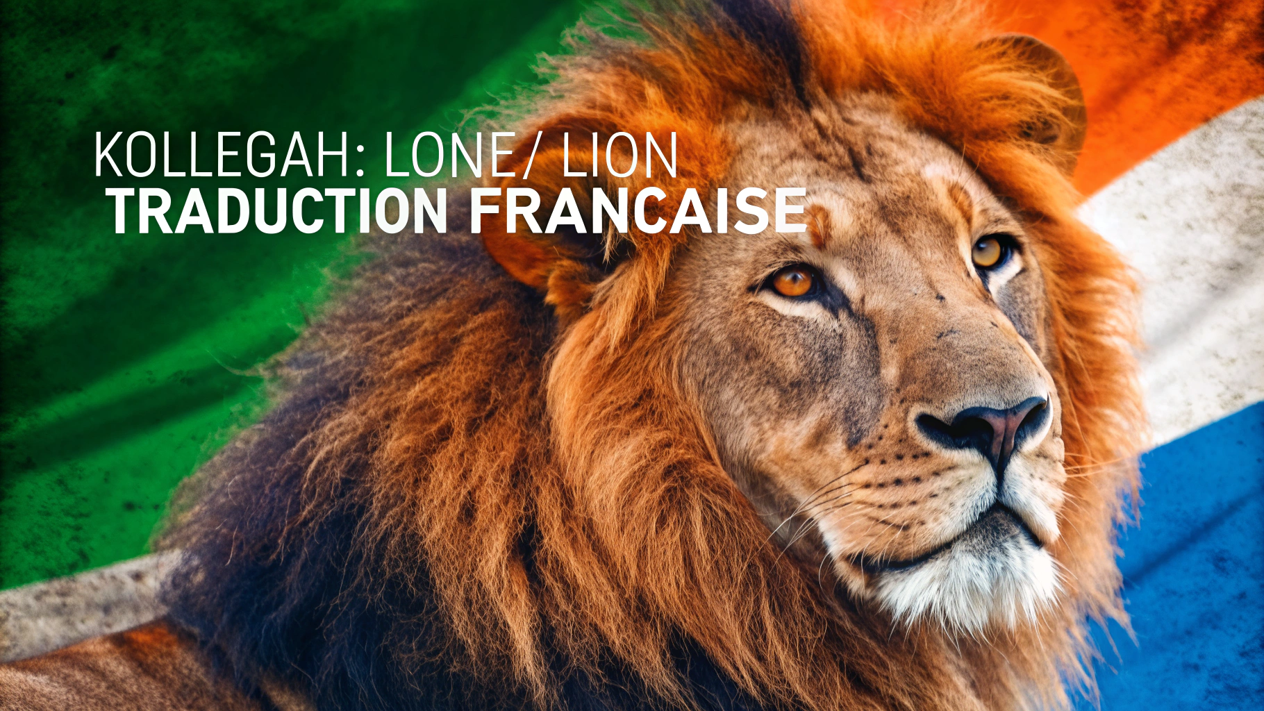 AI generated image by Red Panda AI: A realistic, vibrant cover picture of a powerful lion with bold tones of orange, green, and blue. The lion’s mane is rich in various shades of orange and blue, creating a unique, fiery yet cool look, with his piercing eyes reflecting strength and dominance. The background includes intense green and blue accents, contrasting with the warm orange tones, making the image visually striking. The title 'Kollegah: Löwe/Lion : Traduction Française' is displayed prominently in a bold font that complements the lion’s powerful presence, adding a sense of strength and elegance to the cover.